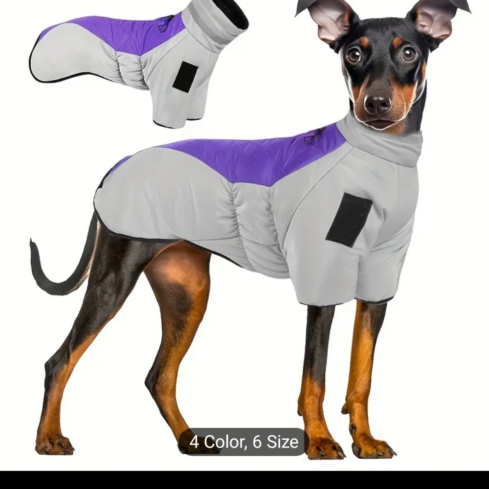 Pet Jacket in Purple and Gray